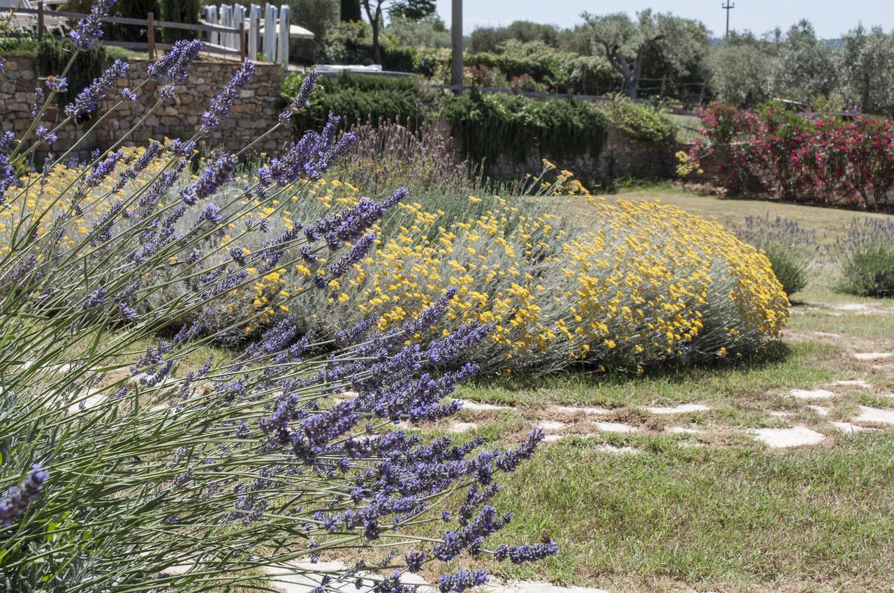 Borgo De Salaioli Bed & Breakfast Scansano